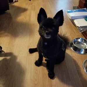 Meet your Posher, Raymond